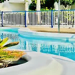 Canaryislandshost L Amapola