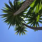 Authentic Andalucia