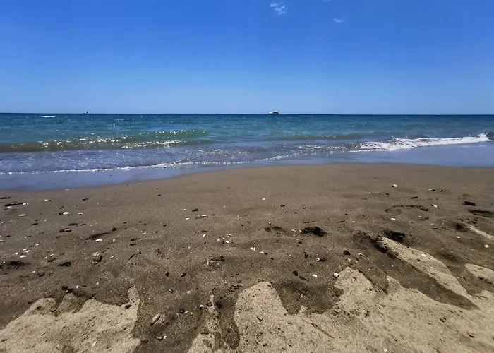 Las Olas CARPE DIEM MARBELLA