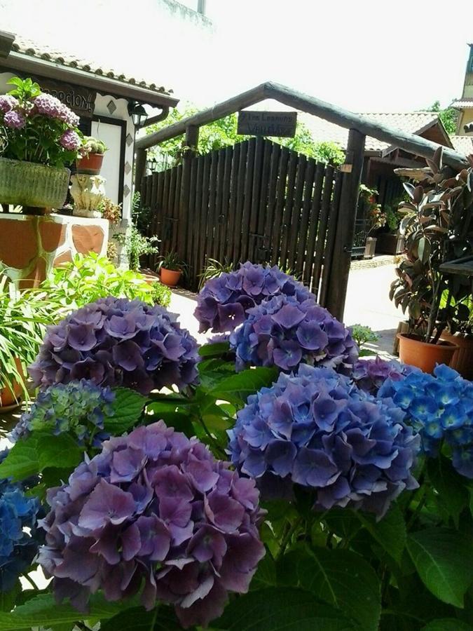Bed and breakfast Valle 2*