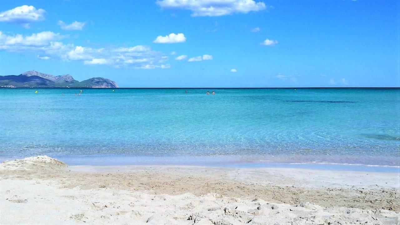 159 Casa Alba Etv9785 By Mallorca Charme Holiday home Can Picafort (Mallorca)