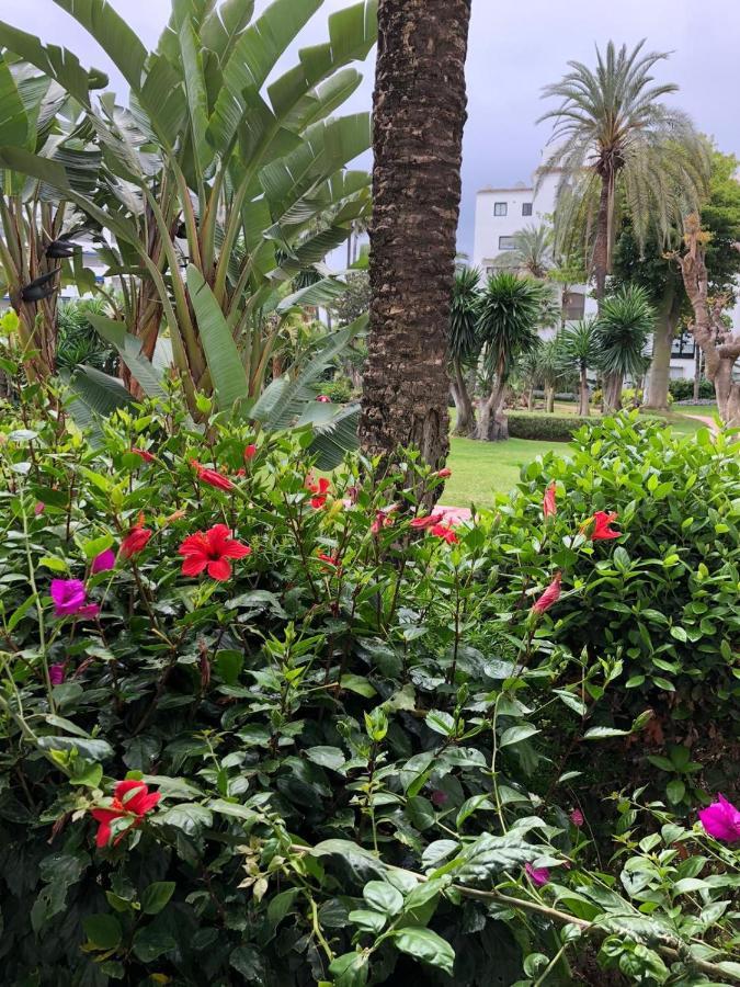 Jardines Del Puerto En Pleno Centro De Puerto Banús Apartamento