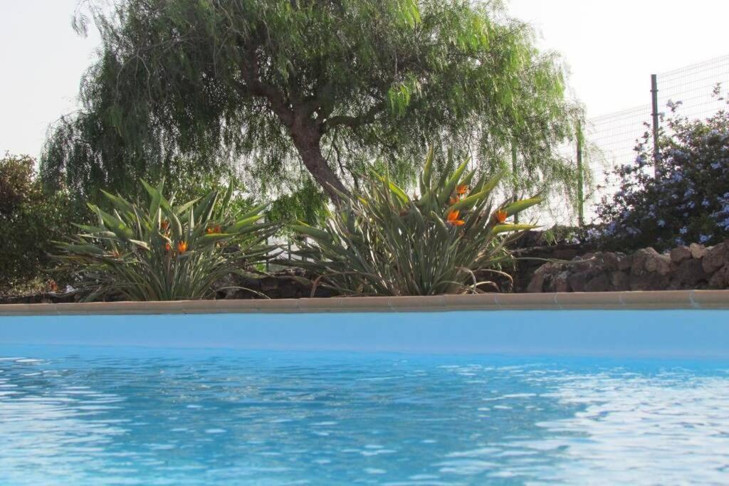 Villa Heated & Shared Pool Matriana 36b, North Shore *