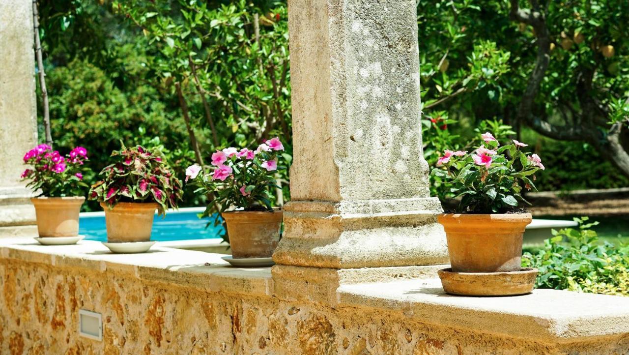 Punxa Holiday home *