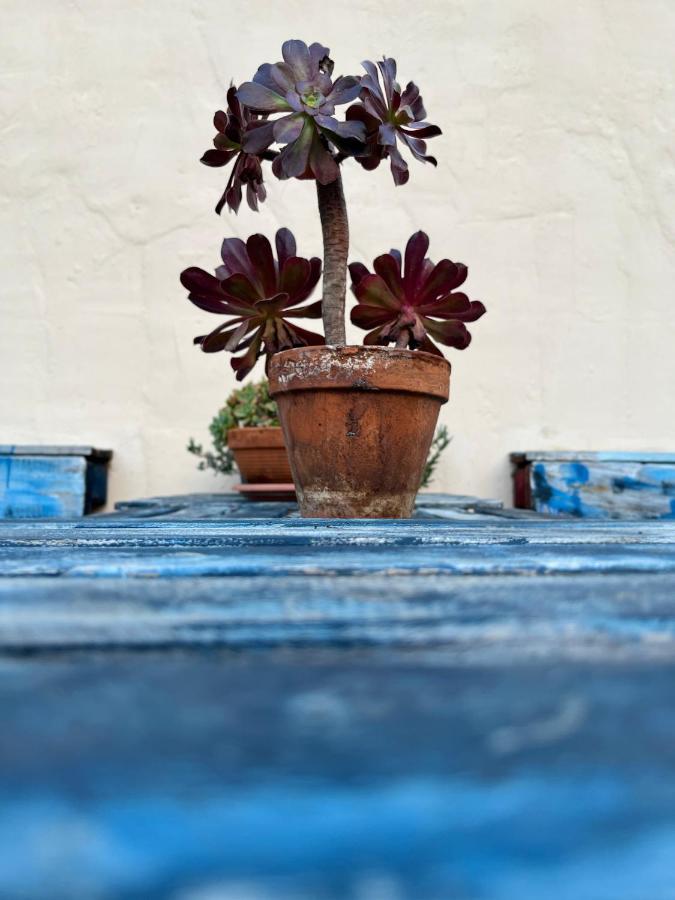 Casa Tesalia Holiday home *