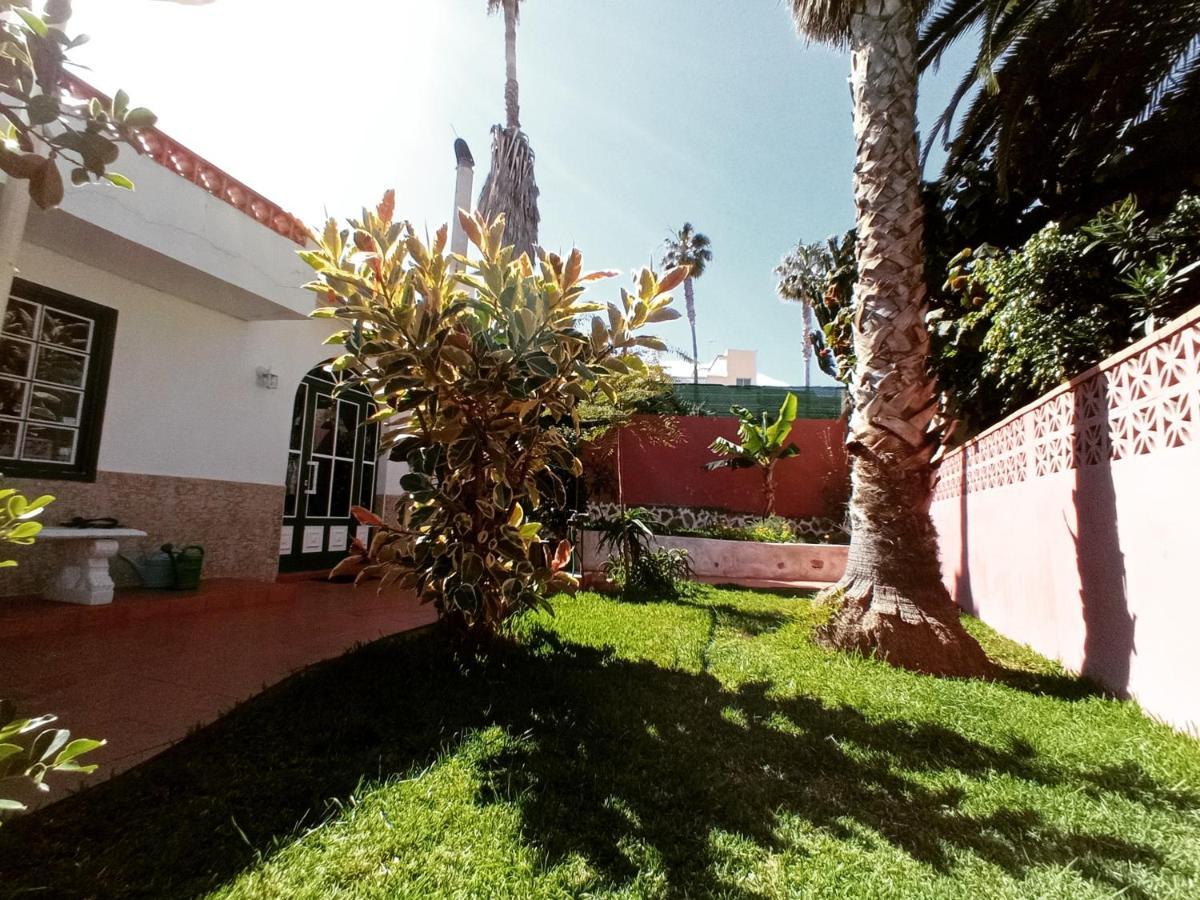 Finca Los Pajaritos Icod De Los Vinos