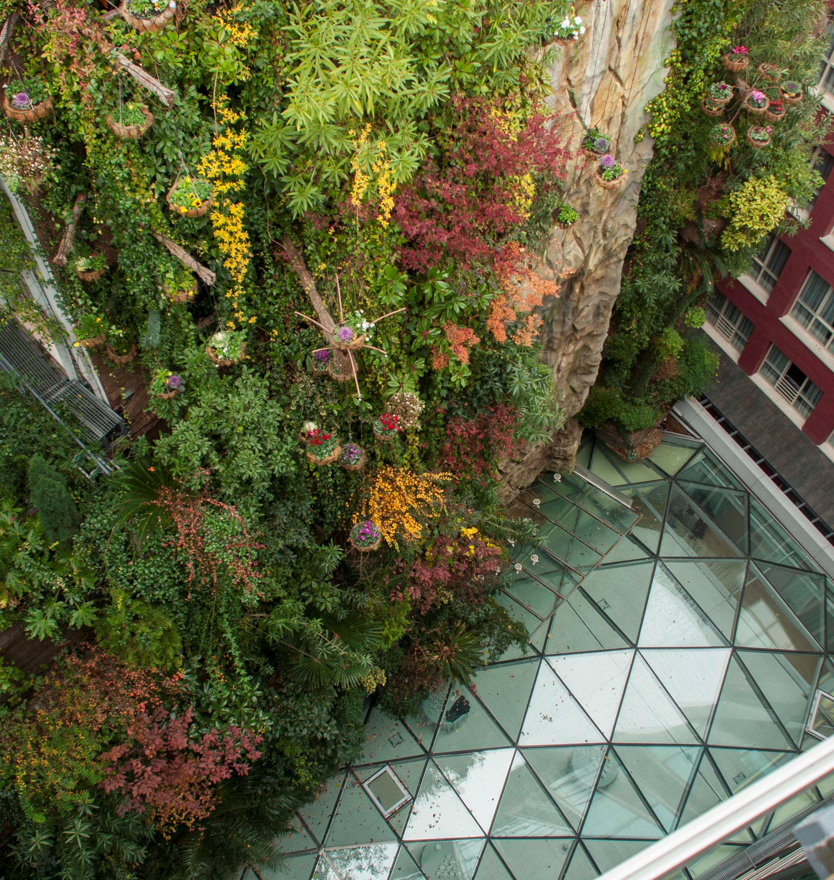 Inhala Garden 4* Madrid