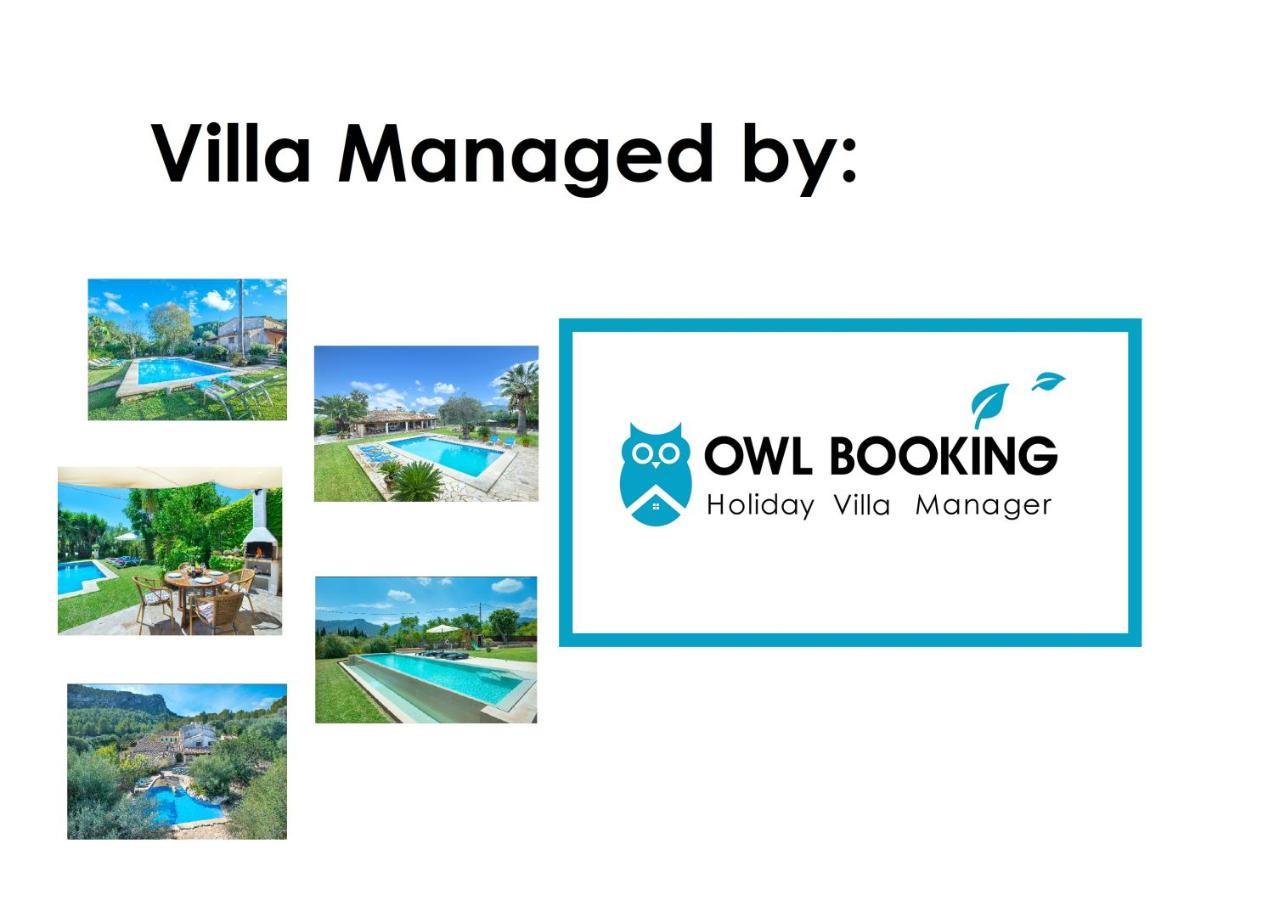 Owl Lloberina - In The Midst Of Nature * Pollenca