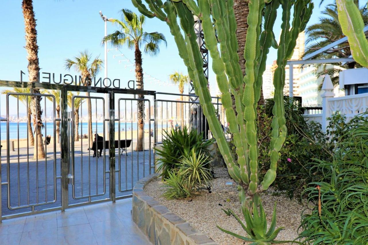 Luxurious 2-bedroom With Stunning Views, 1st Line On Levante Beach, Apartment *