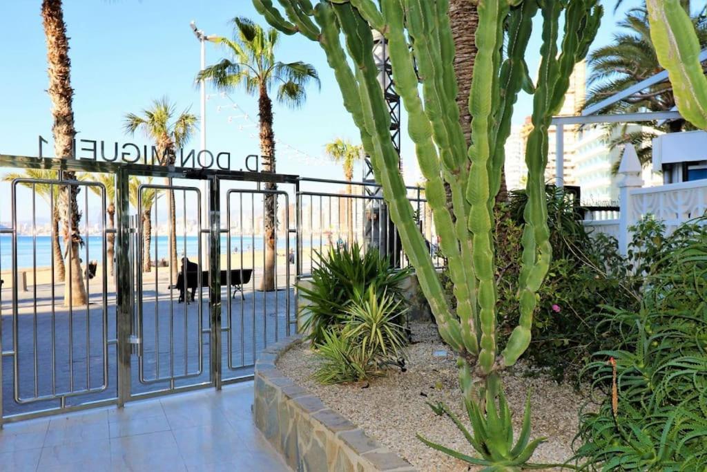Apartment Luxurious 2-bedroom With Stunning Views, 1st Line On Levante Beach, Benidorm