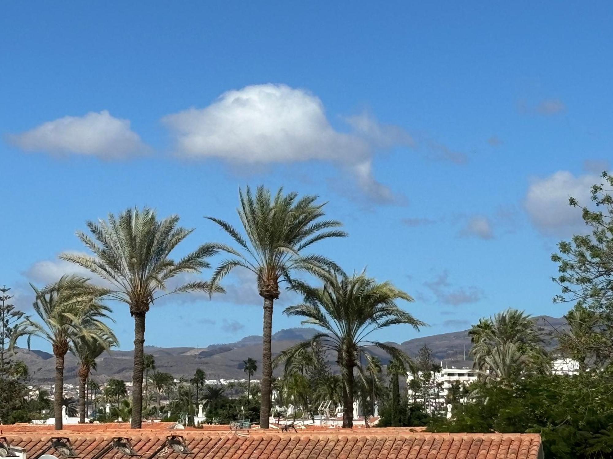 Loris Playa Ingles 50mt From Yumbo By Luca Gran Canaria Apartamento *