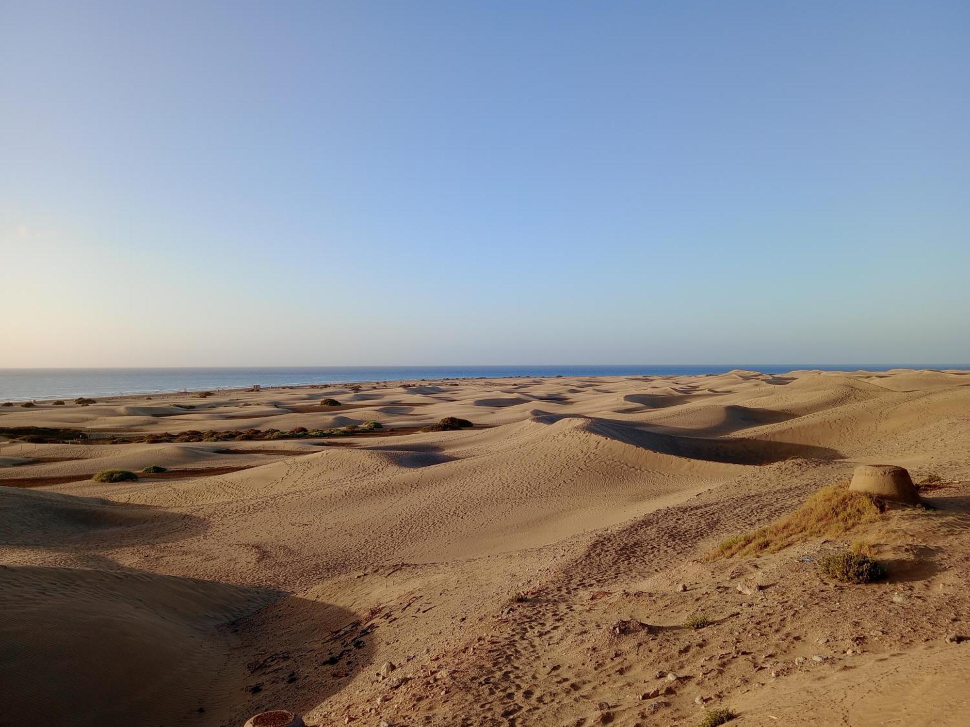 La Girafe De Dunas Solymar San Bartolome de Tirajana (Gran Canaria)