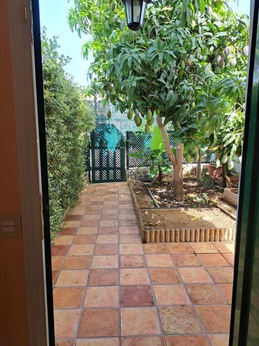Apartamento El Caserio De Merengue *