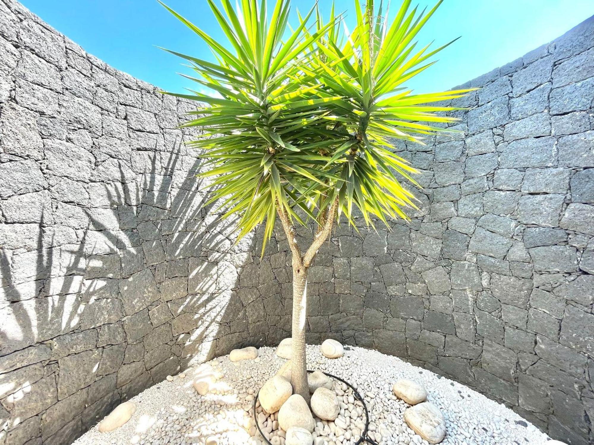Beautiful 5-bed In Playa Blanca