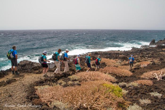Piso Nuevo En El Puertito De Gueimar Al Lado Del Mar Realizamos Servicio De Excursiones Con Guia Puertito de Guimar