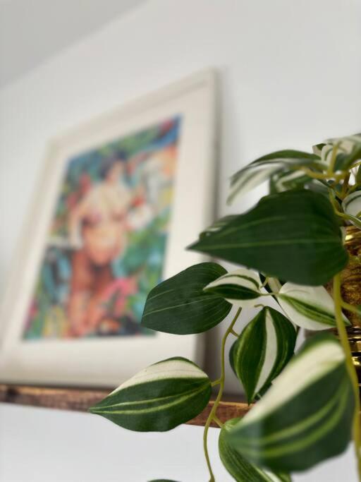 Apartamento La Casa De Eloisa *
