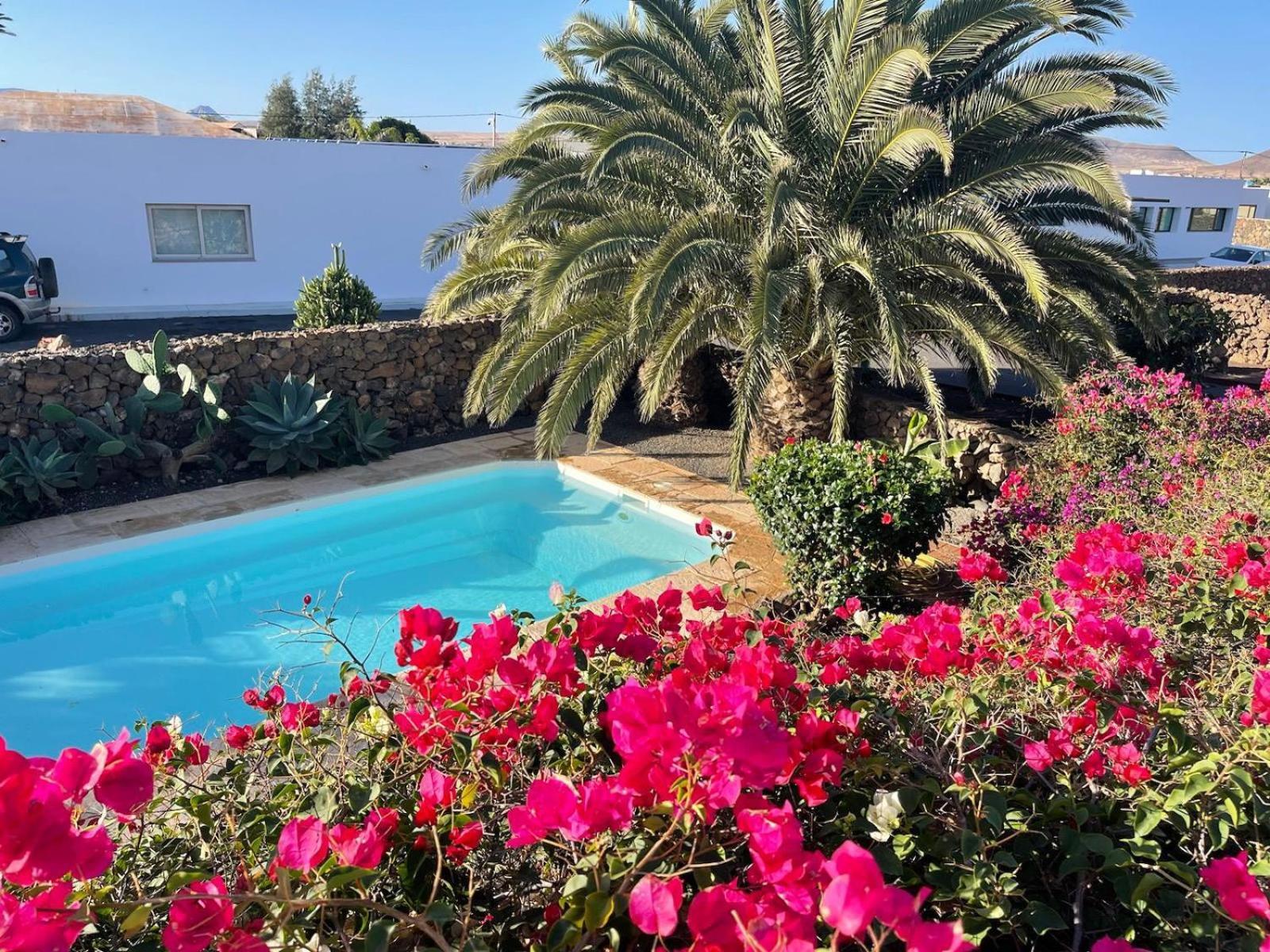 Aria Villa La Oliva