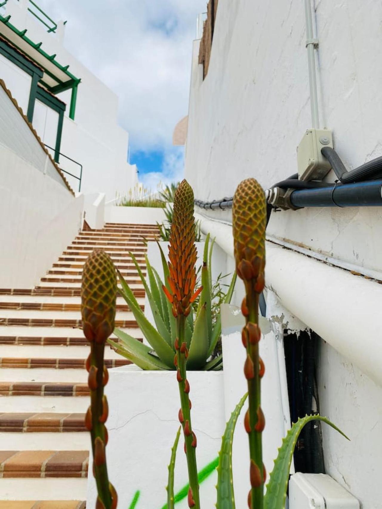Сasa de vacaciones Tenerife.365 Atalaya Court Ii Sunset Ocean View *