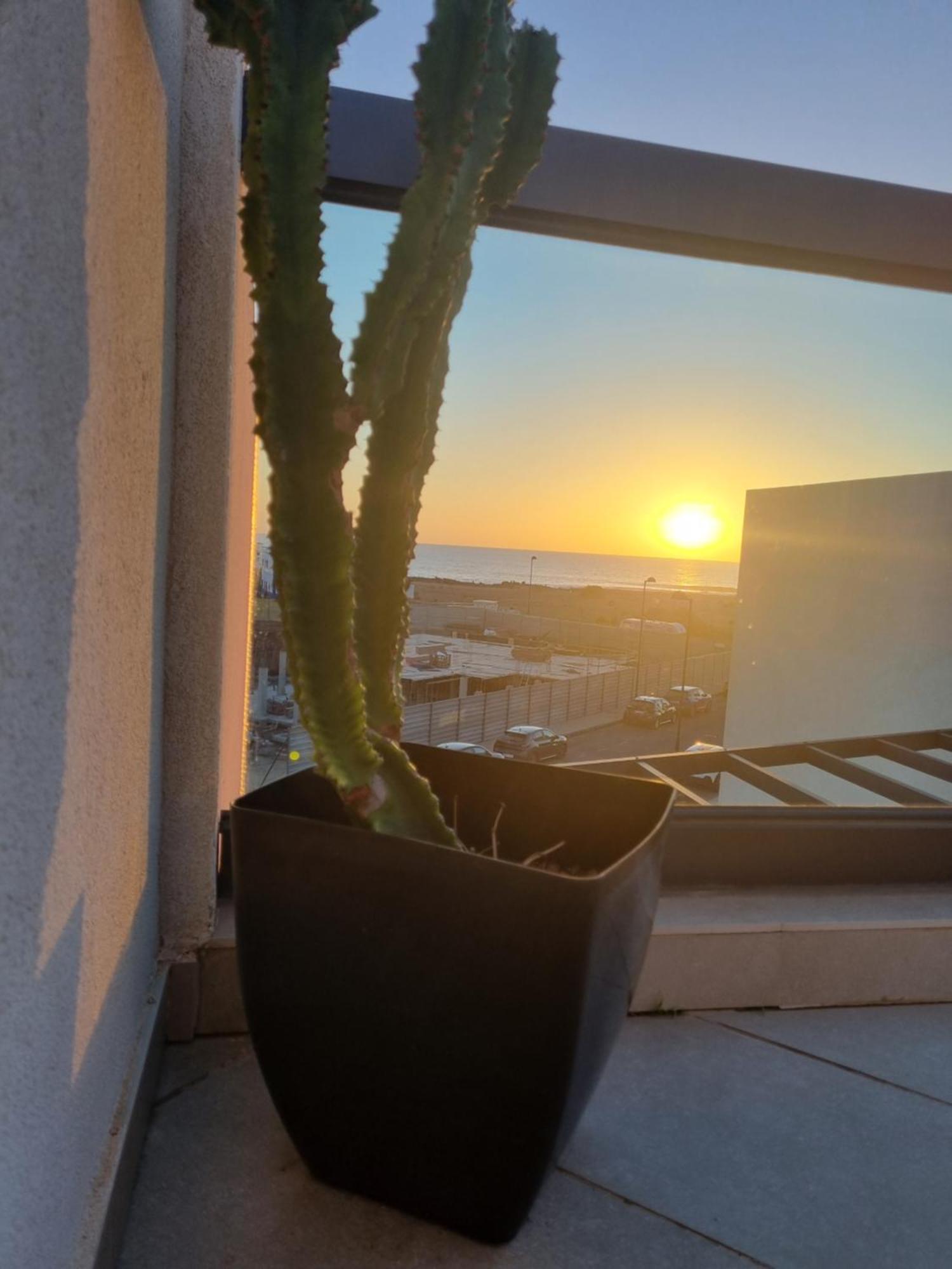 Apartamento Azotea De *