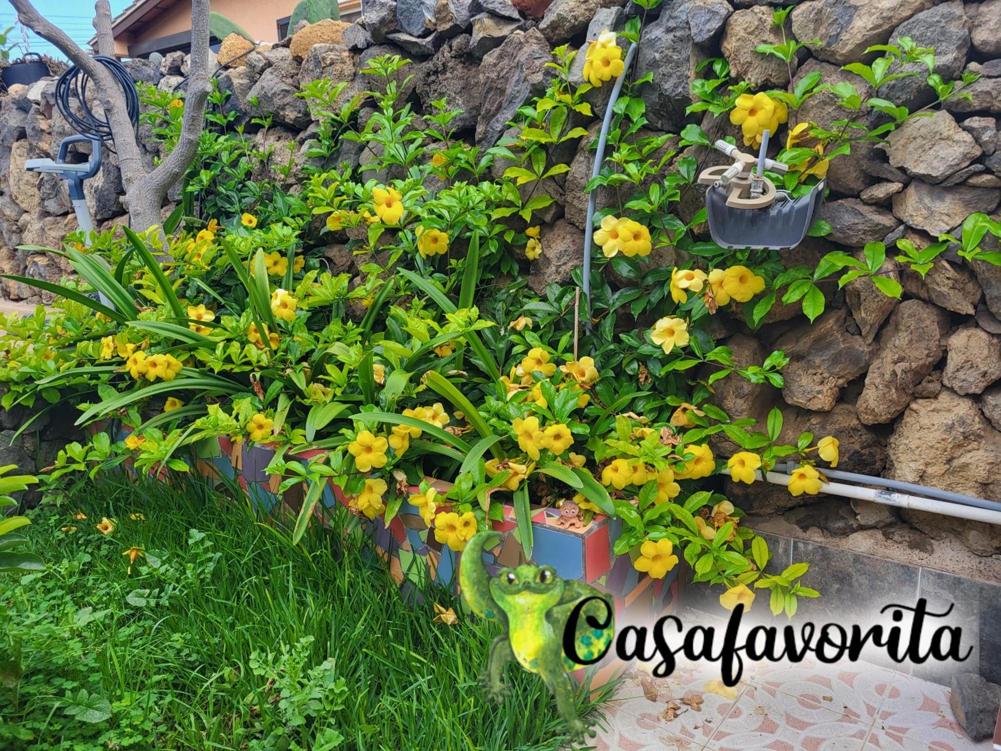 Casafavorita - Meer- Und Teideblick Fuer Zwei