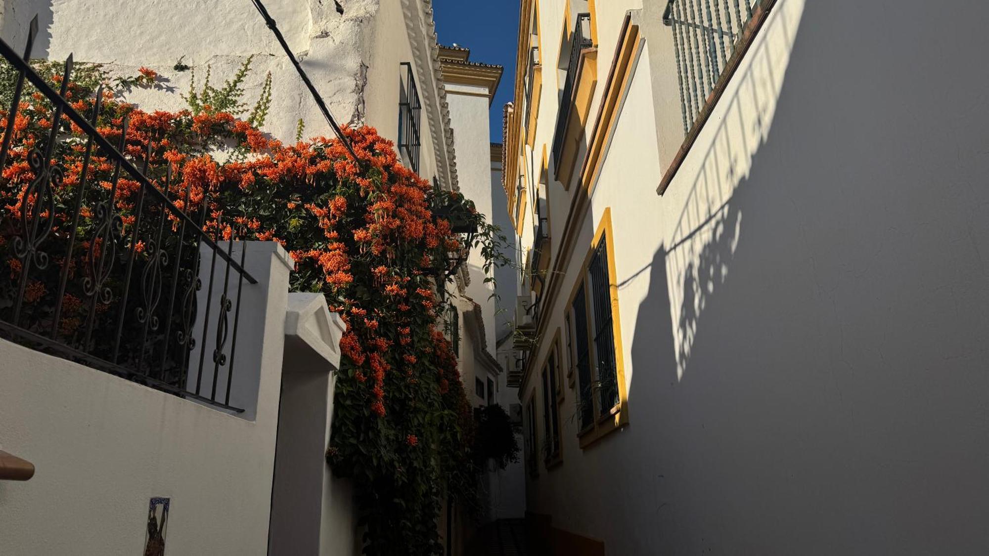 Village * Marbella