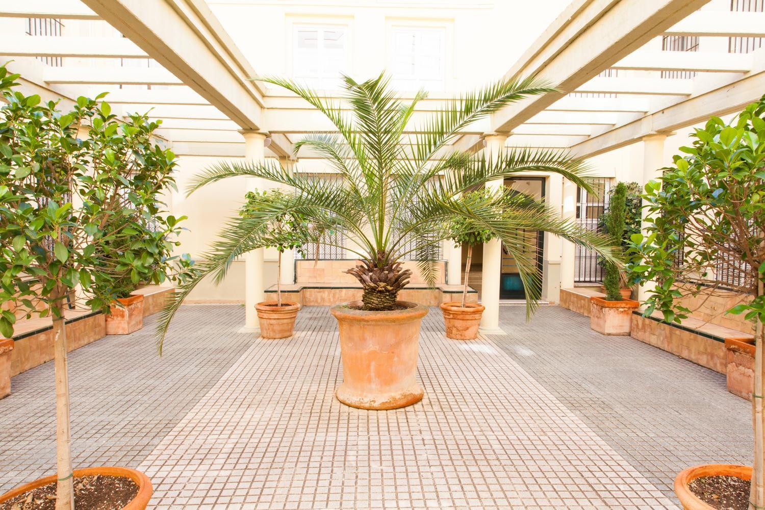 Apartamento Placentines