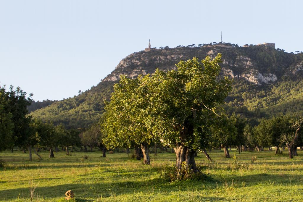 Petit Hostatgeria Sant Salvador Fenalitx (Fenalich)