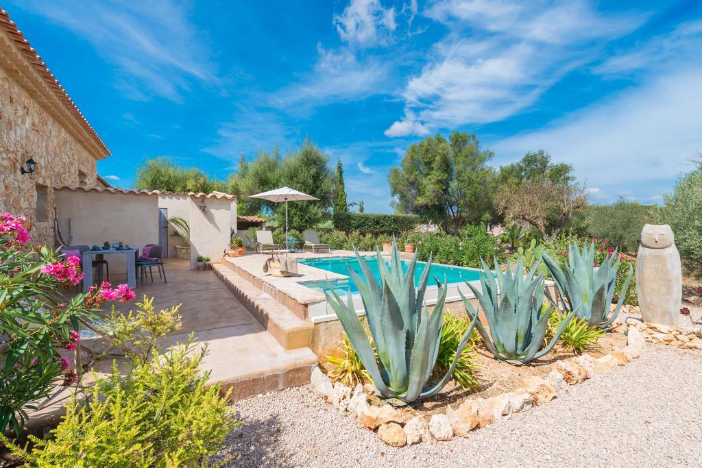 Villa Pina - Adults Only (eco Cascada)