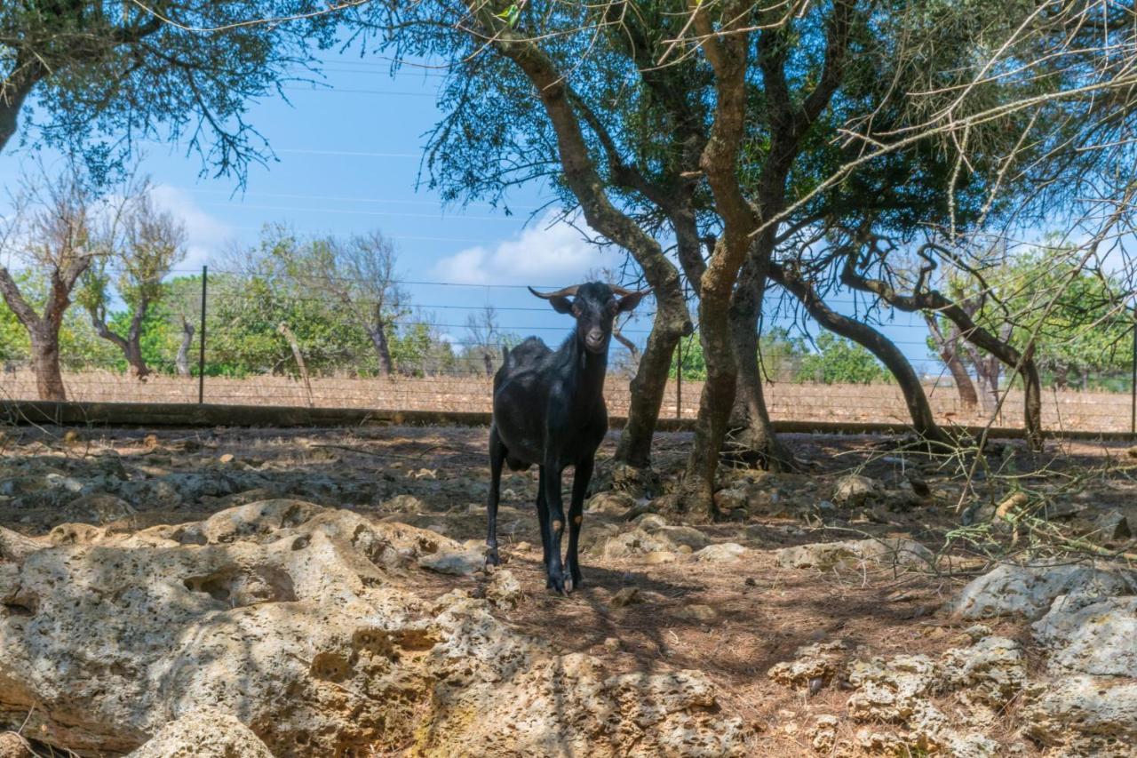 Сasa de vacaciones Finca Son Baulo Santa Margalida