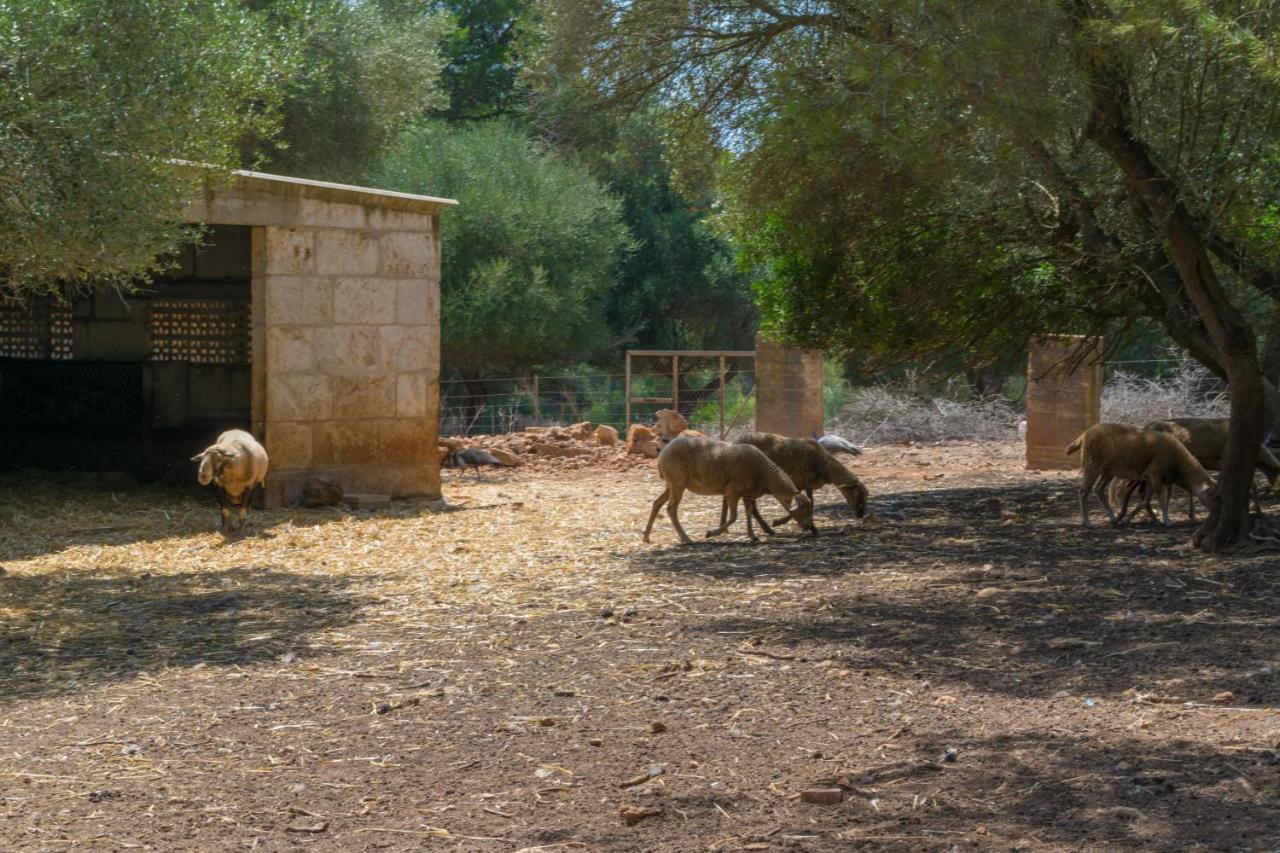 Finca Son Baulo