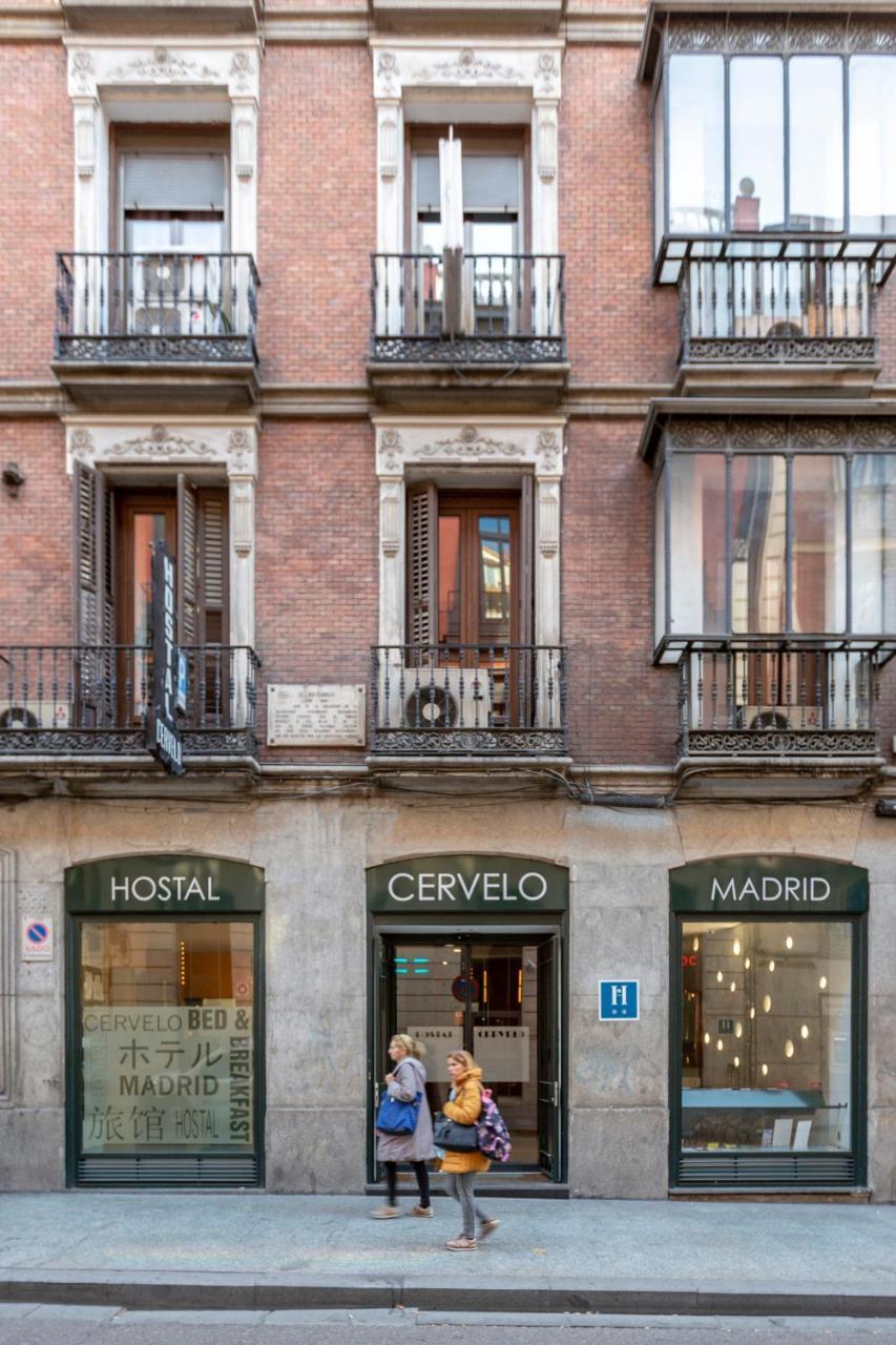 Cervelo Pensión Madrid