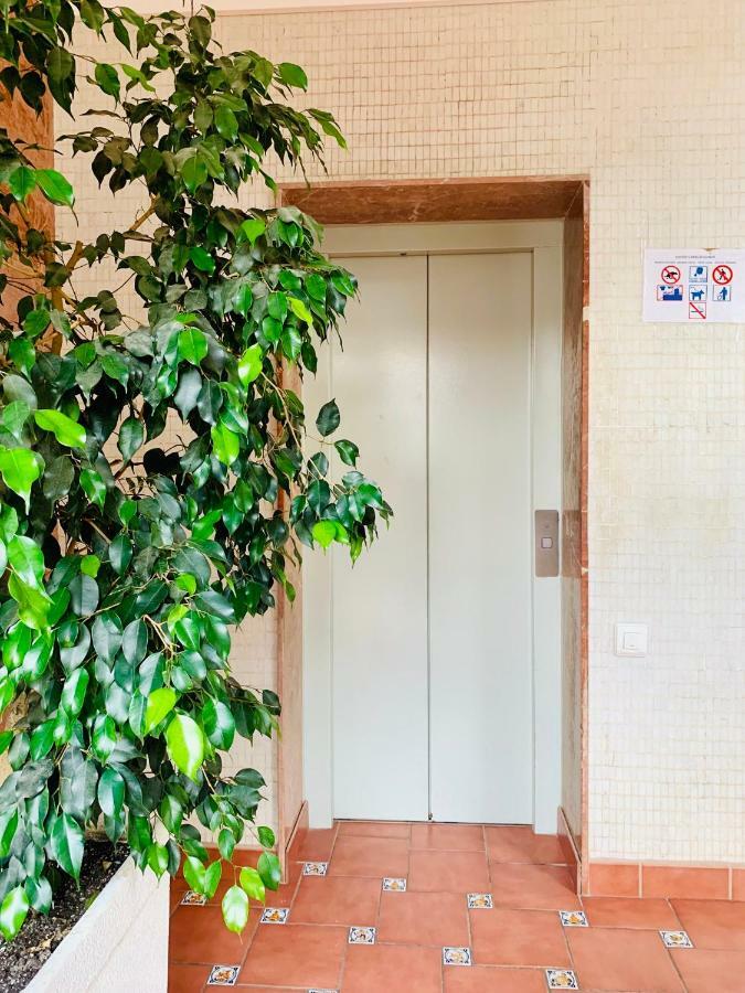 Apartamento Book Caballo Blanco