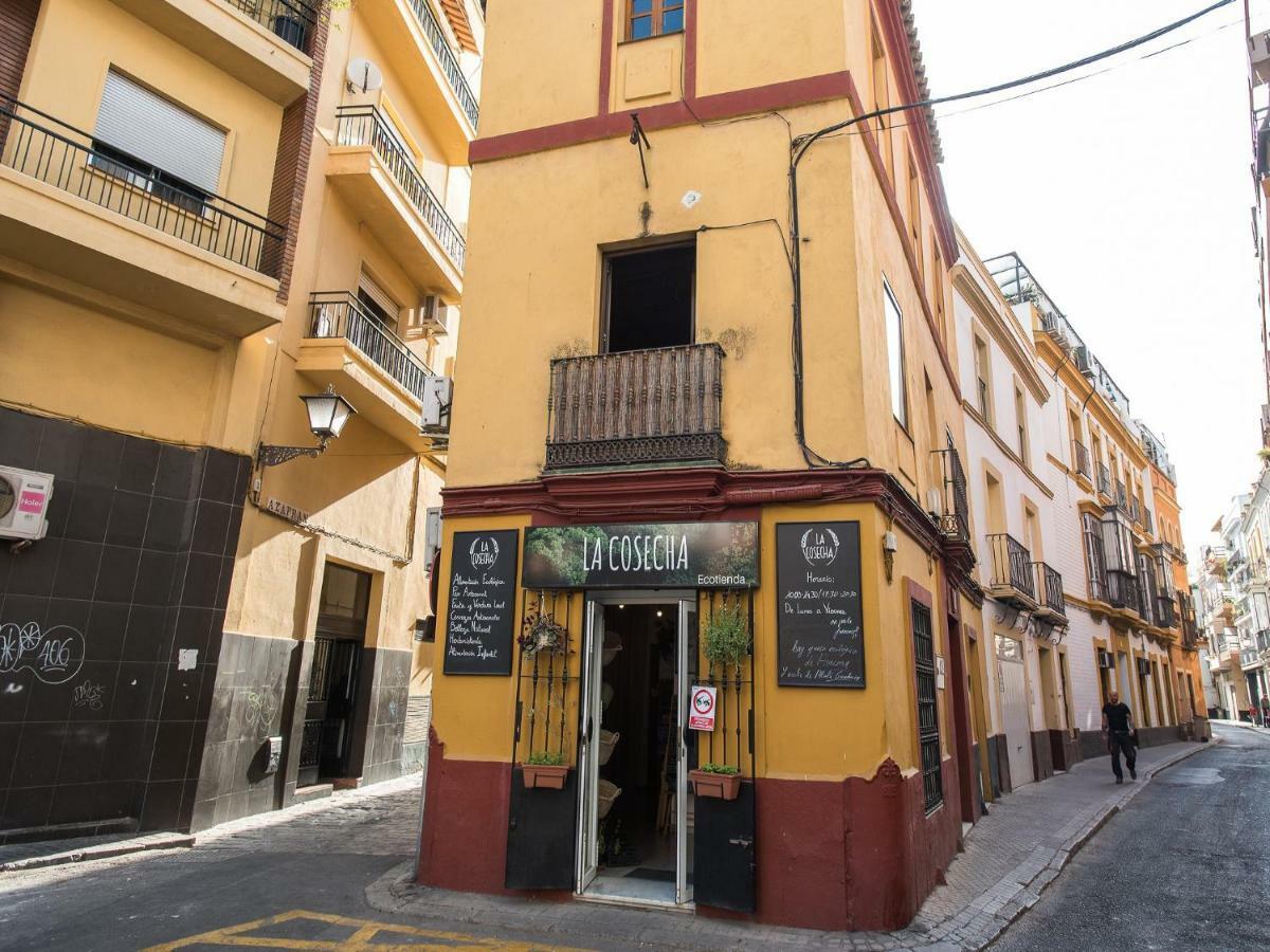 Apartamento Divi Centro *