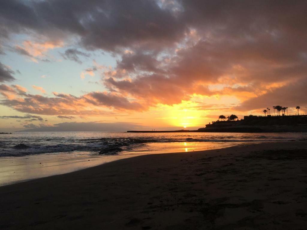 Apartamento Le 491 Costa Adeje (Tenerife)