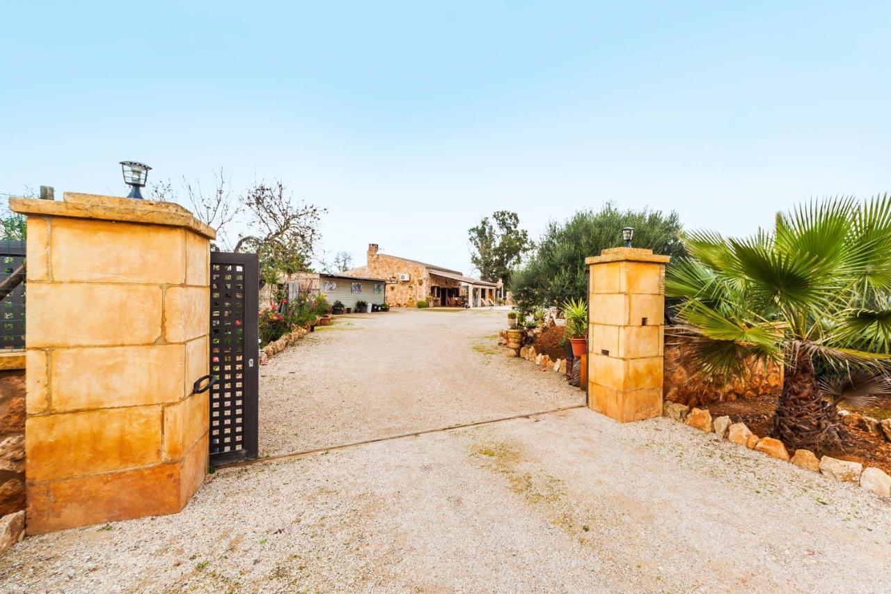 Esplendor * Campos (Mallorca)