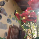Casa Rural Las Rosas B