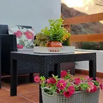 Vina Camello