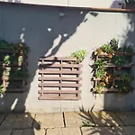 pardelo