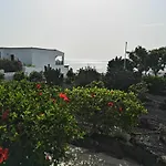 Los Hibiscos 404