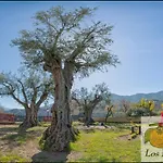 Hostal y Apartamento Rural Los Naranjos