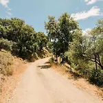 Casa El Chaparral Songbird Mountain