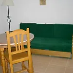Olivo 6