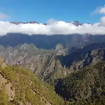 Palma Tellus