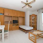 093 - Mil Palmeras Dream