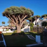 Pura Vida