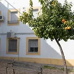 Nayber Gavia - Nuevo Y Centrico Apartamento En Cordoba