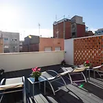 8 lacus estudio