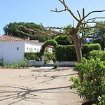 Casa Gecko