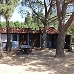 Casa Gecko