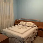 Nerjamedina